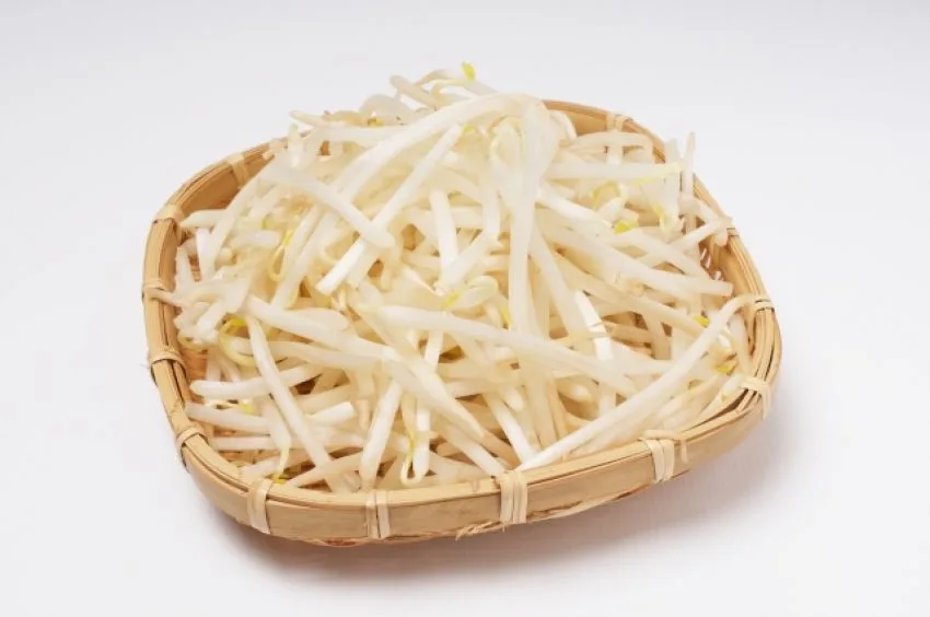 もやし安売り合戦の背景に“キャベツ”の価格高騰あり。そのワケは?