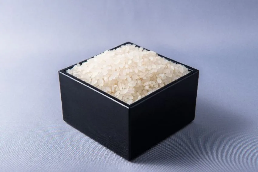 炭水化物が肥満の元凶とは言いきれぬ理由